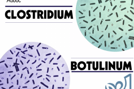 CÁCH PHÒNG NGỪA NGỘ ĐỘC DO BOTULINUM